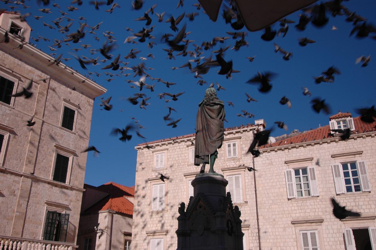 Villa Sigurata Dubrovnik Dış mekan fotoğraf